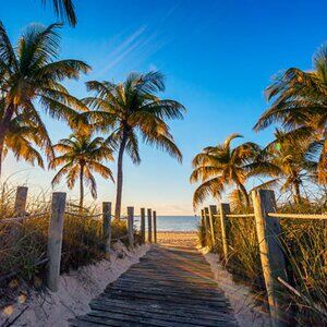 LIVE $3 UNLISTED show